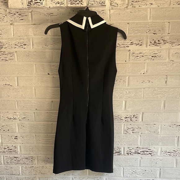 Alice + Olivia Wynell Tipped Collar Minidress - Picture 6 of 6